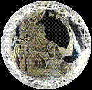 foto autor